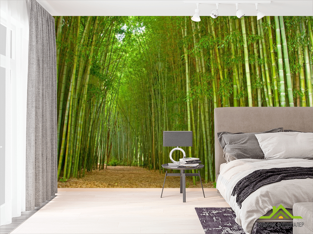 Фотообои Много бамбука