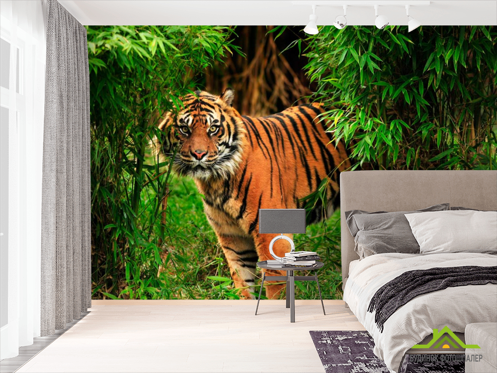 Фотообои Тигр в зарослях