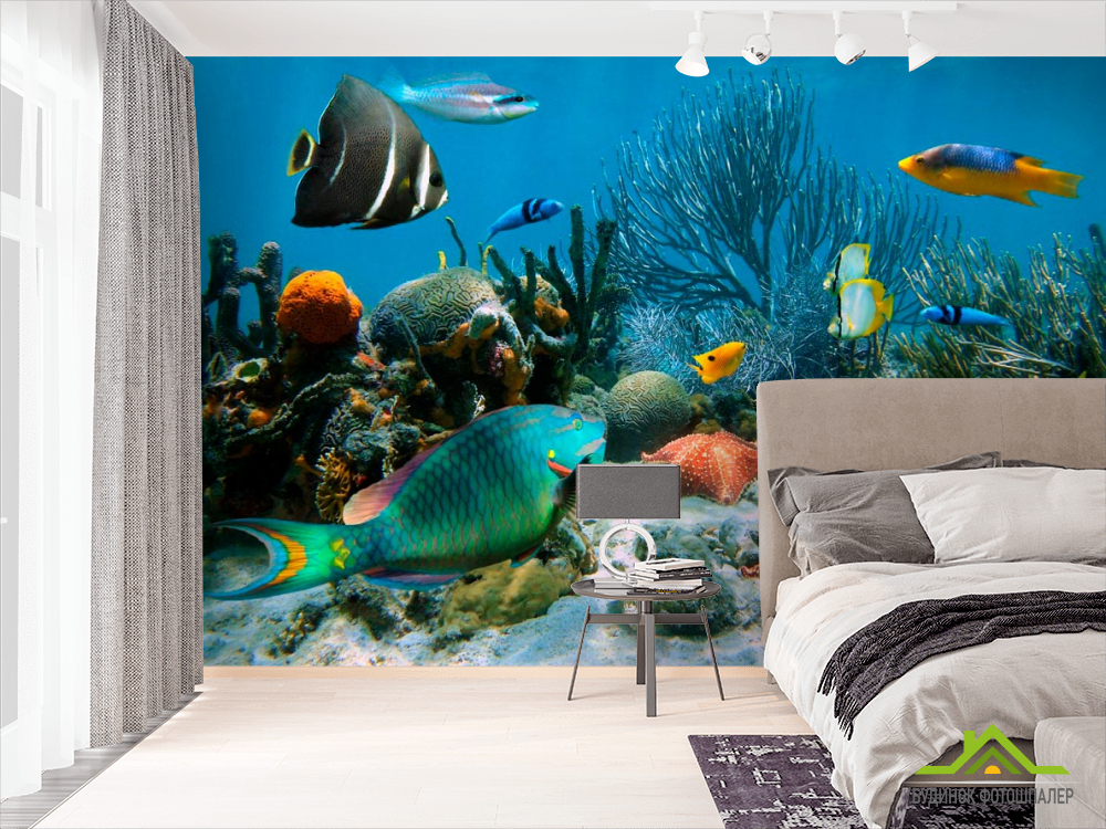 Фотообои Морские рыбы