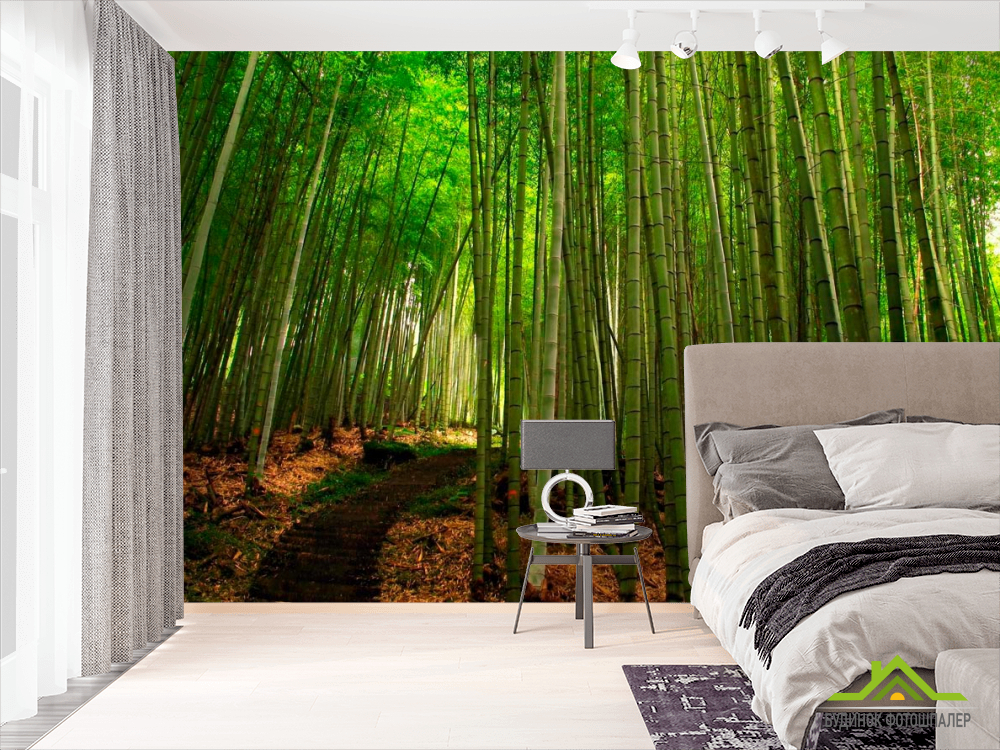 Фотообои Бамбук, тропинка