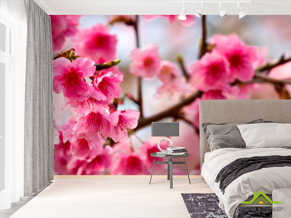 Фотошпалери Дерево з рожевими ветами