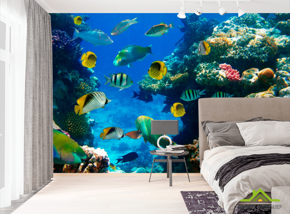 выбрать Фотошпалери Риб'ячий косяк Фотошпалери Риби і море на стіну