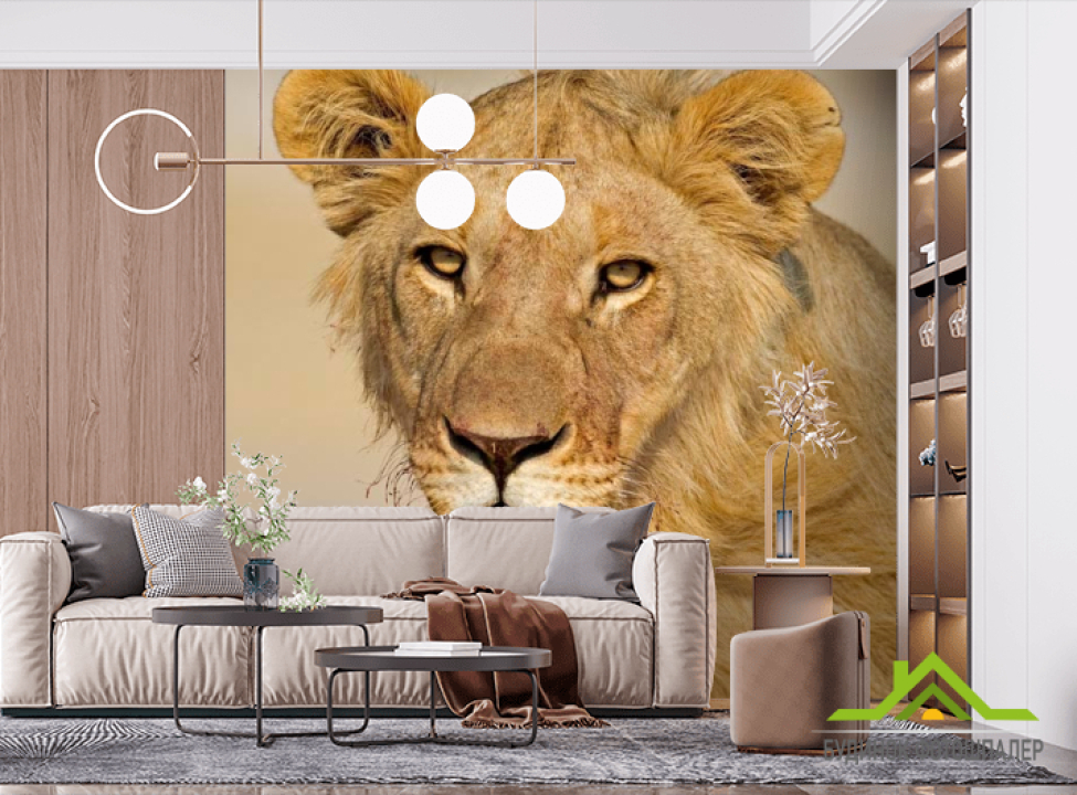 выбрать Фотошпалери Мріє левиця Фотошпалери Леви на стіну