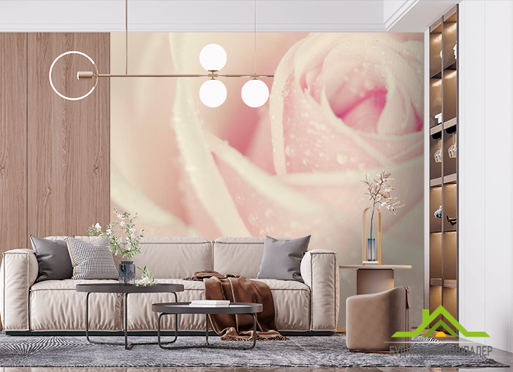 Фотошпалери Краплі роси на троянді