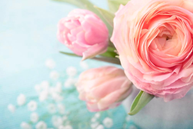 Фотообои Нежный пион