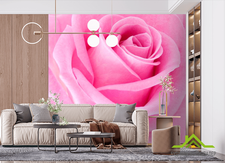 Фотошпалери Макро-зйомка рожевої троянди