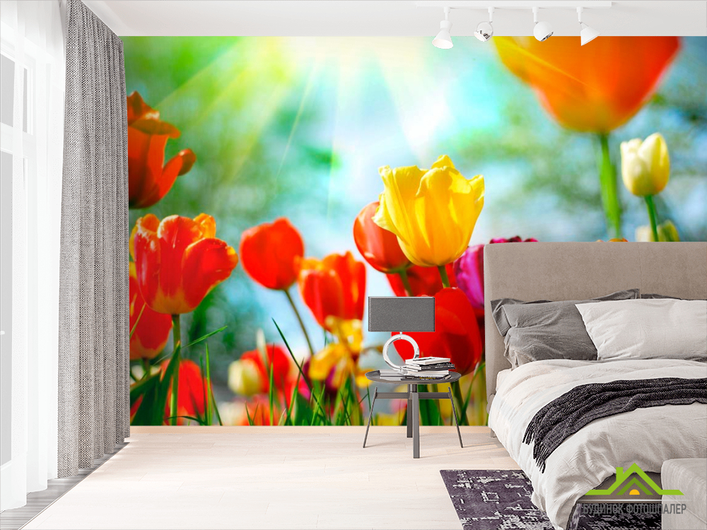 Фотообои Тюльпаны разноцветные
