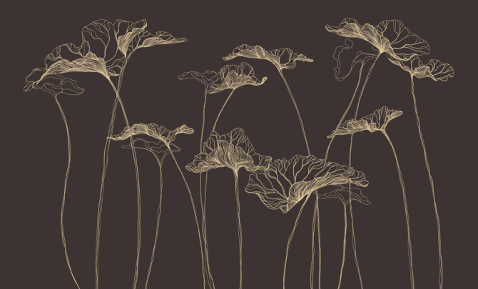 Фотошпалери квіти лінії