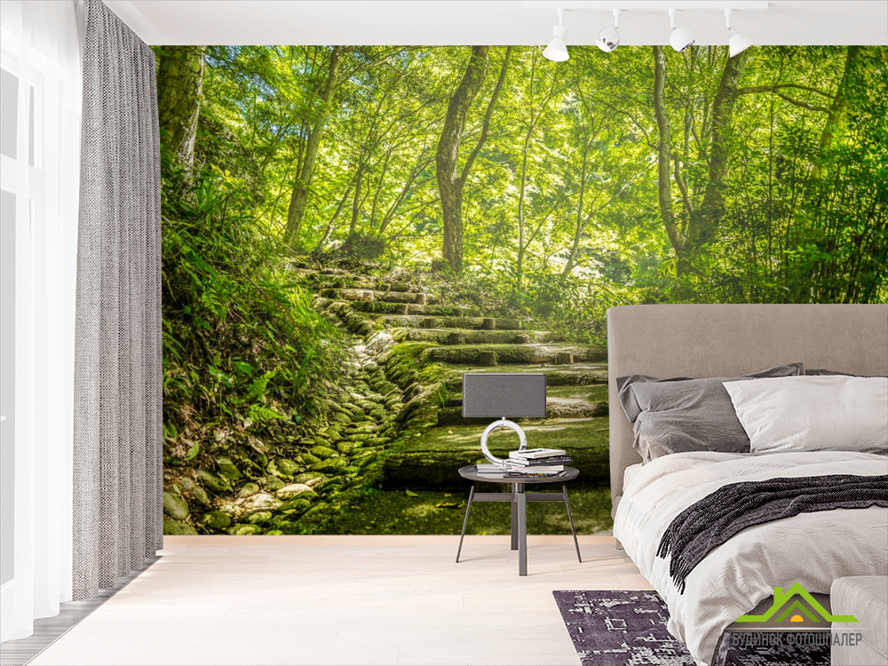 Фотообои деревянные ступеньки в лесу