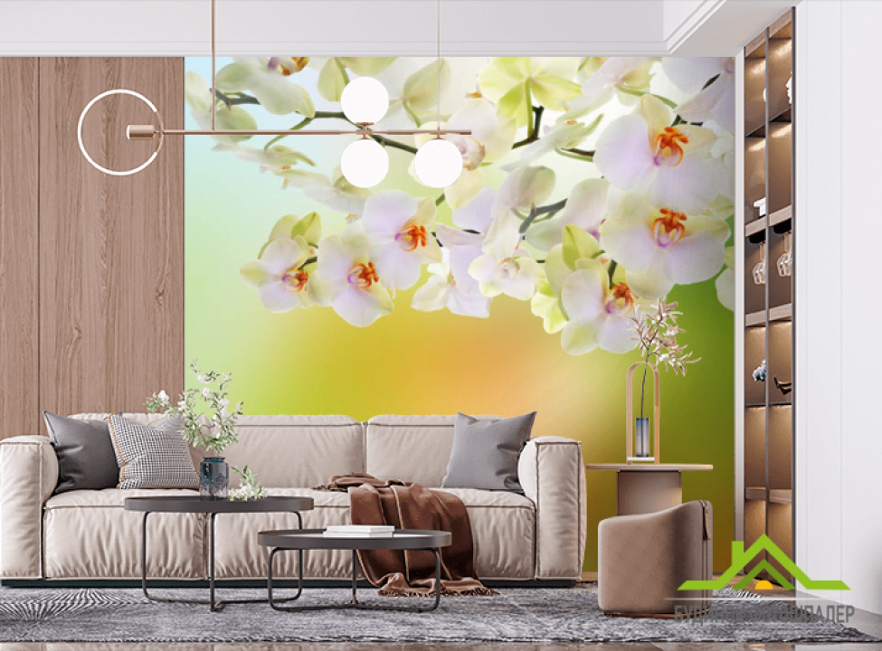 выбрать Фотообои Орхидеи с салатовым фоном Фотообои на шкаф купе на стену
