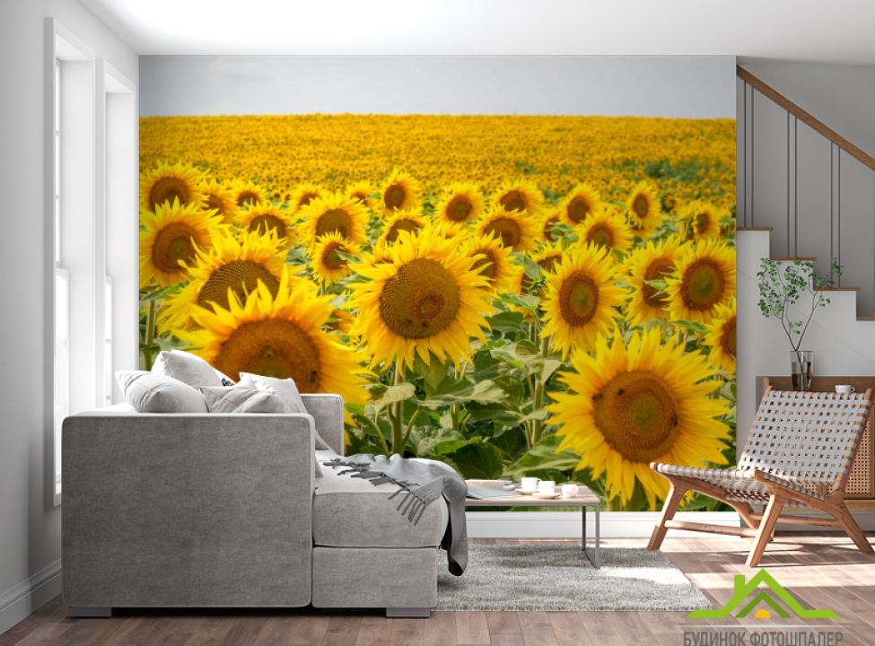 выбрать Фотошпалери полі з соняшниками Фотошпалери Квіти на стіну