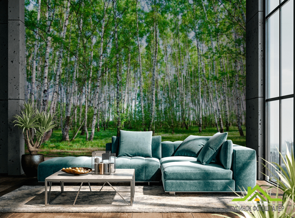 выбрать Фотообои Молодые березы, тропа Фотообои лес на стену