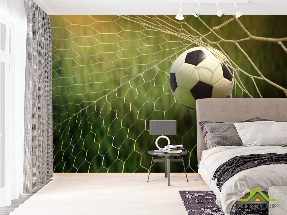 Фотообои мяч в воротах