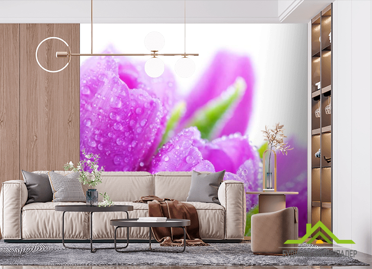 Фотообои Тюльпаны сиреневых тонов