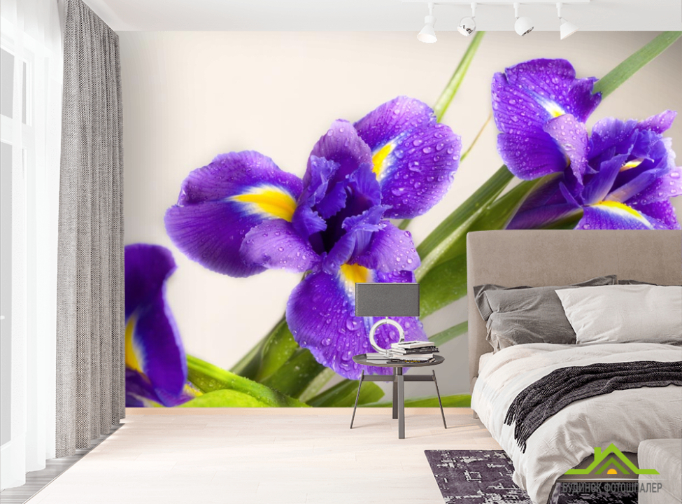 выбрать Фотошпалери синій квітка Фотошпалери Квіти на стіну