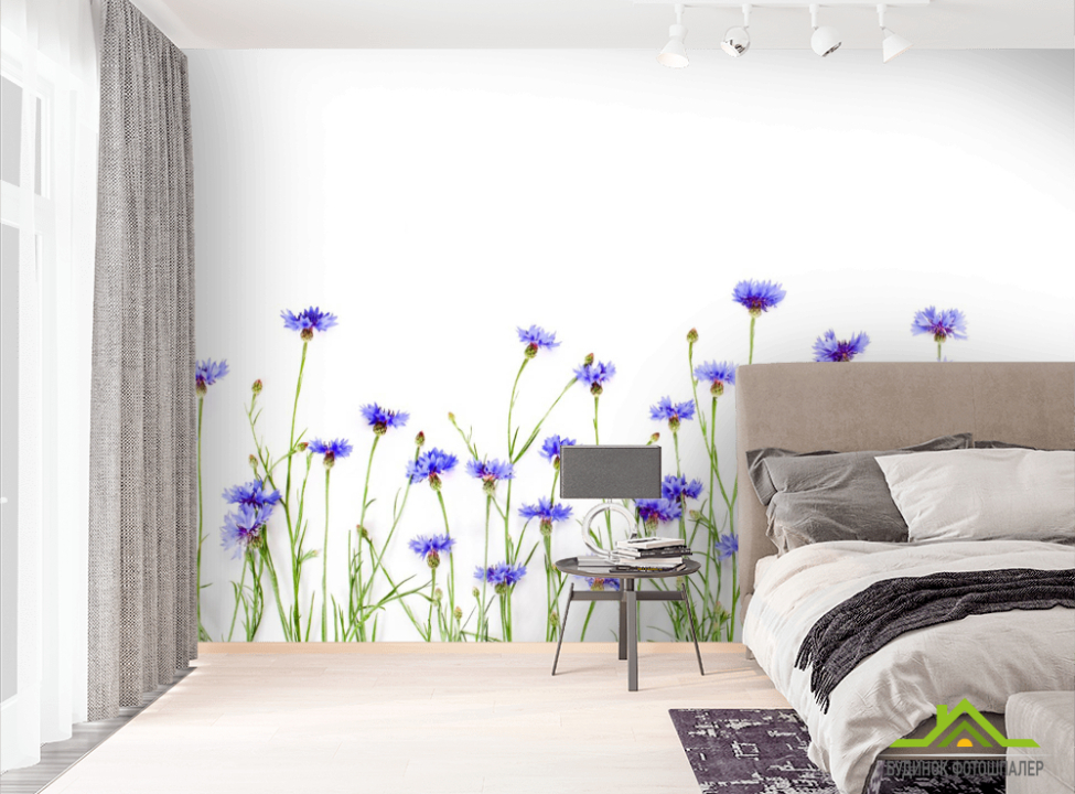 выбрать Фотообои Волошки синие Фотообои Цветы на стену