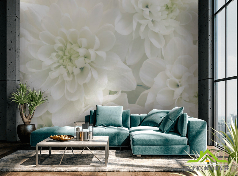 выбрать Фотошпалери Білі хризантеми Фотошпалери Квіти на стіну