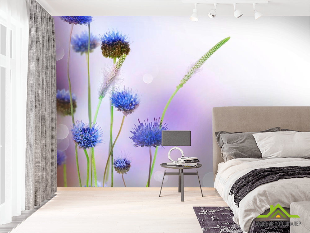 Фотообои Степные голубые цветы