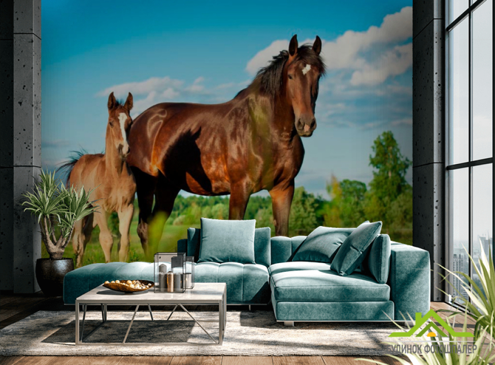 выбрать Фотообои Лошадь с жеребенком Фотообои Лошади на стену