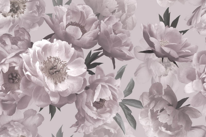 Фотошпалери пудрові квіти