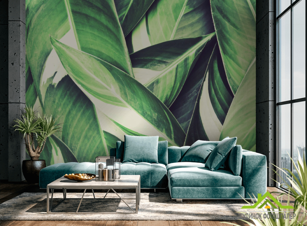 выбрать Фотошпалери зелене листя Фотошпалери тропічні листя на стіну