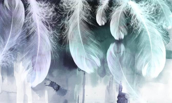 Фотошпалери повітряні пір'я