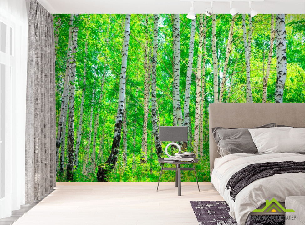 выбрать Фотообои Тень, березы Фотообои лес на стену