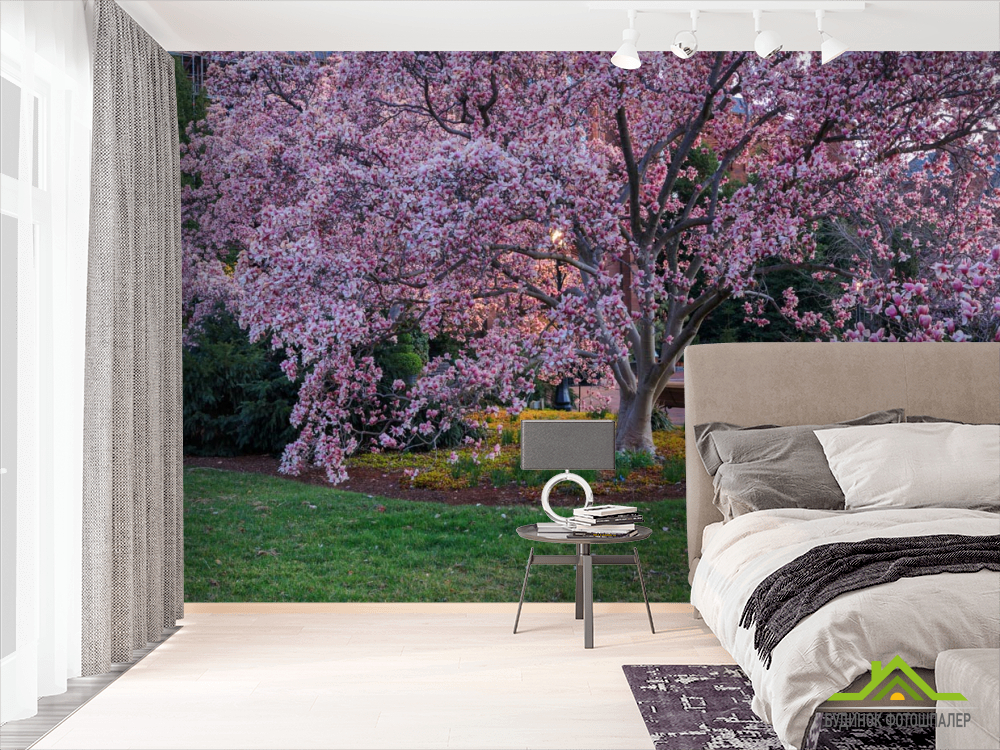 Фотошпалери пухнасте рожеве дерево
