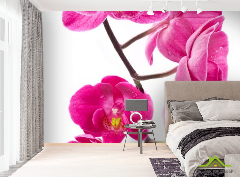 выбрать Фотошпалери Гілка орхідей малинових Фотошпалери Орхідеї на стіну