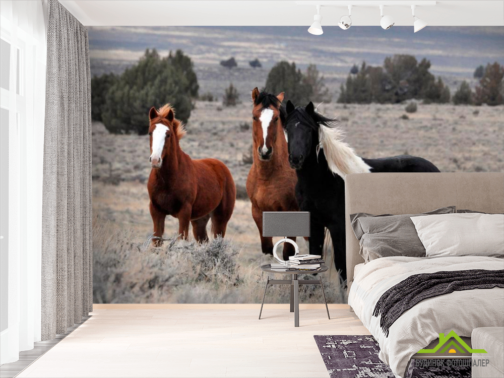 Фотошпалери Три коні