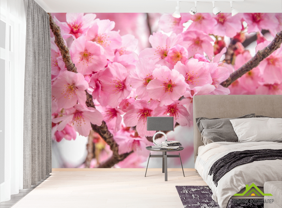выбрать Фотошпалери дві гілки сакури Фотошпалери Квіти на стіну