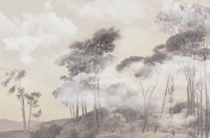 Фотообои Деревья в тумане