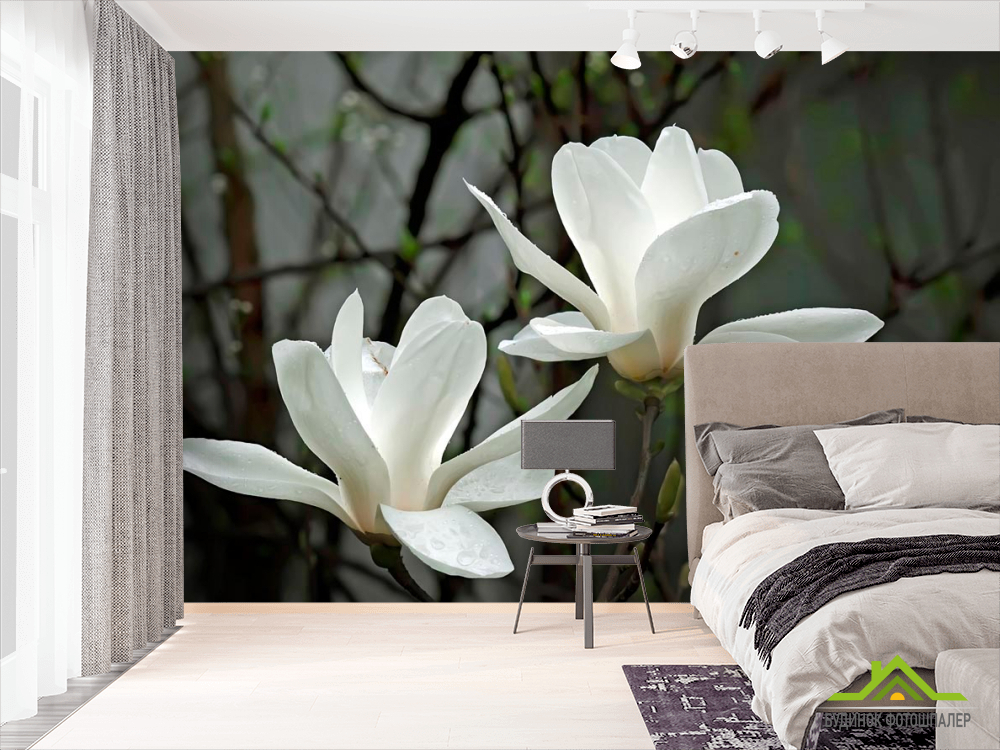 Фотошпалери Білосніжні квітки