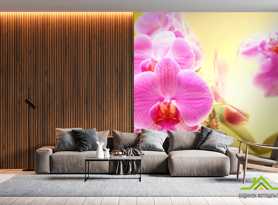 выбрать Фотообои розовые орхидеи на желтом фоне Фотообои Цветы на стену