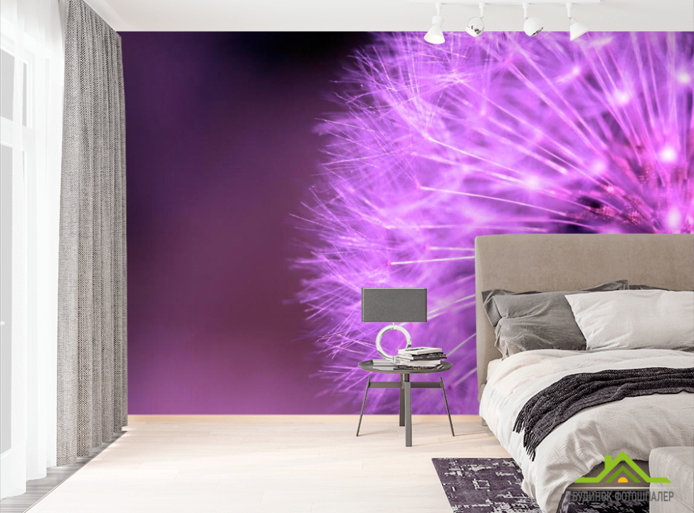 выбрать Фотообои Одуванчик сиреневый Фотообои Одуванчики на стену