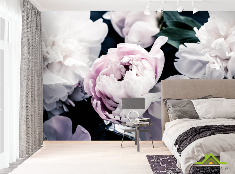 выбрать Фотообои Пионы на тёмном Фотообои Цветы на стену