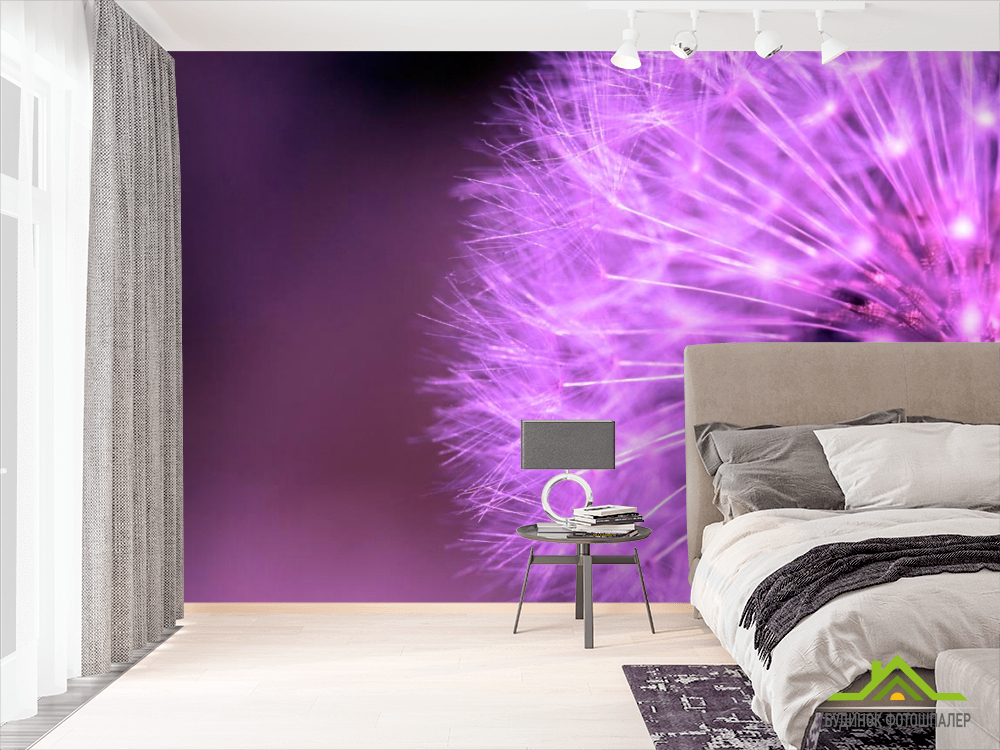 Фотошпалери Кульбаба бузковий