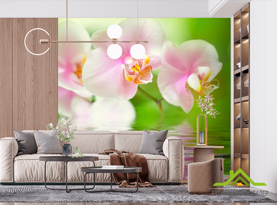 выбрать Фотообои Орхидеи розово-белые Фотообои Орхидеи на стену