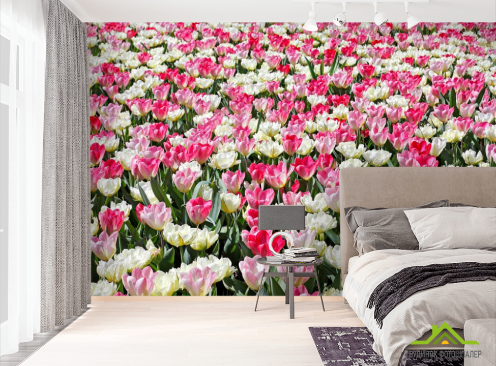 выбрать Фотообои Поле разноцветных тюльпанов Фотообои Тюльпаны на стену