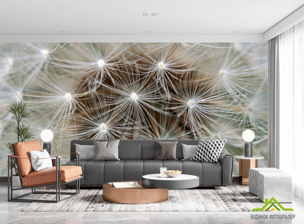 выбрать Фотообои семена на одуванчике Фотообои Одуванчики на стену