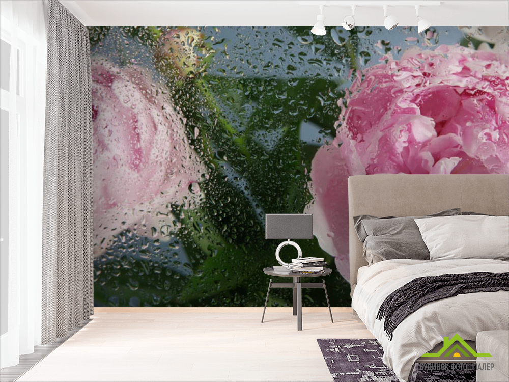 Фотошпалери Рожеві півонії з краплями дощу