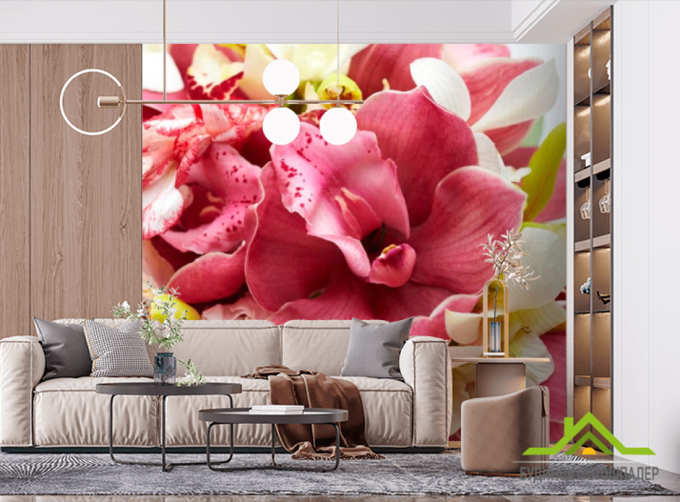 выбрать Фотошпалери Орхідеї і білі, бордові Фотошпалери Квіти на стіну