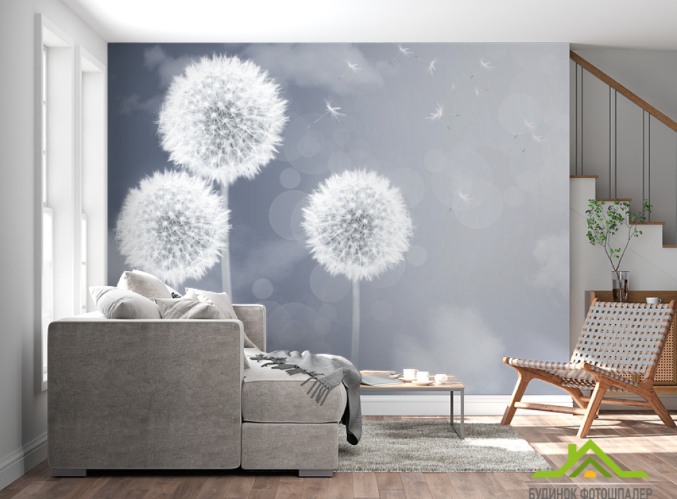 выбрать Фотообои Одуванчики на сером фоне Фотообои Цветы на стену