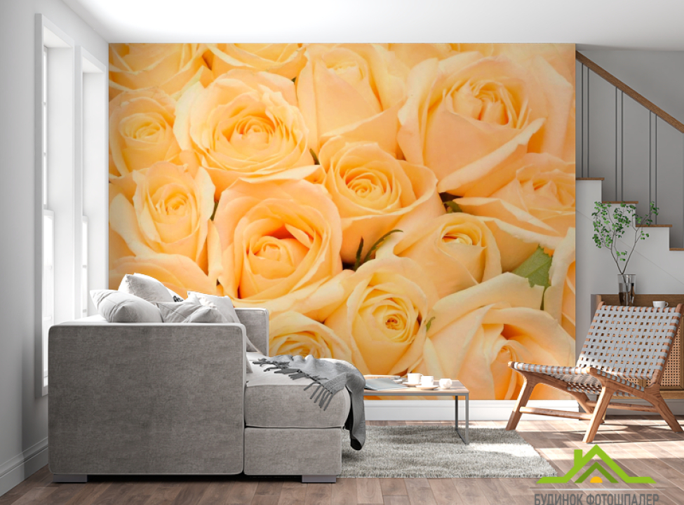 выбрать Фотообои Букет из кремовых роз Фотообои Розы на стену