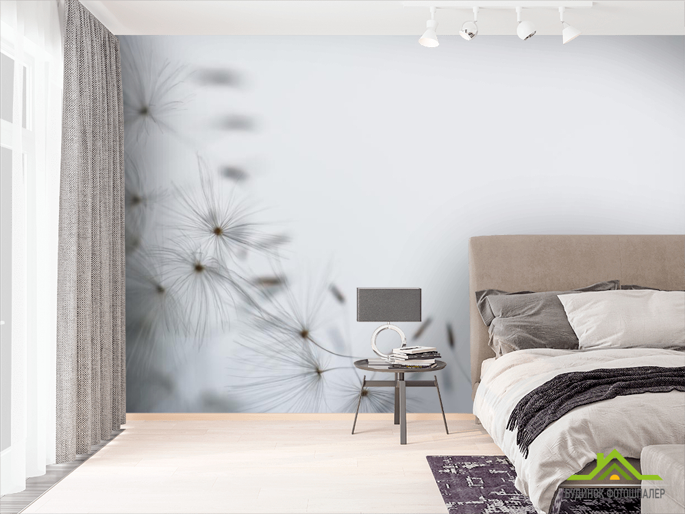 Фотообои одуванчик семена