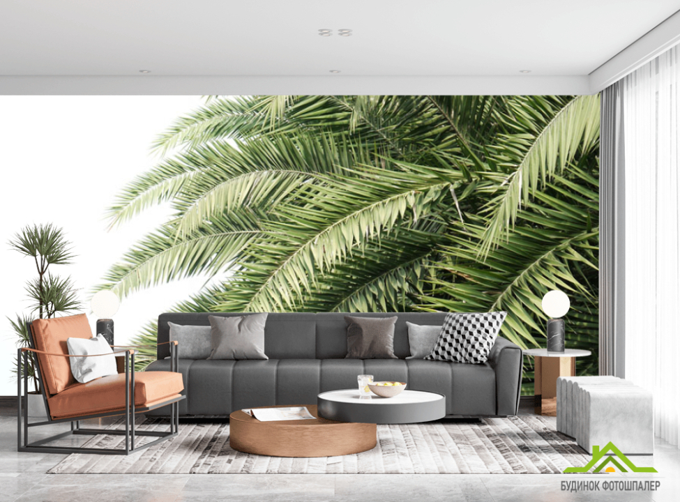 выбрать Фотообои Пальмовые ветки Фотообои тропические листья на стену