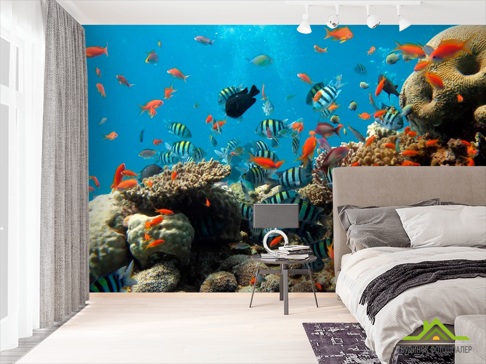 Фотообои Рыбки в коралловых рифах