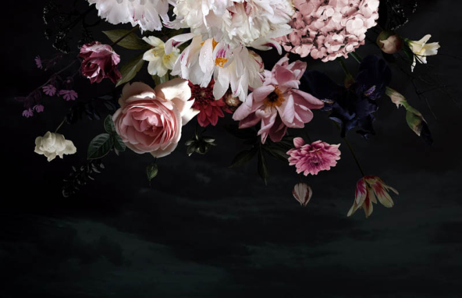 Фотошпалери Квіти на чорному тлі
