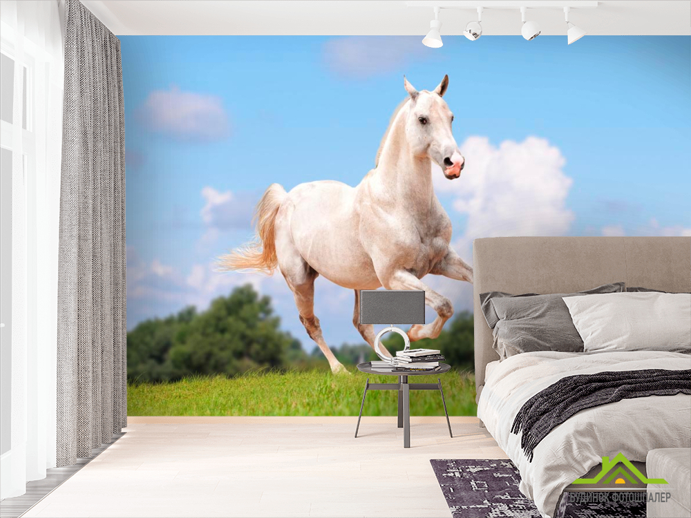 Фотообои Бегущий конь