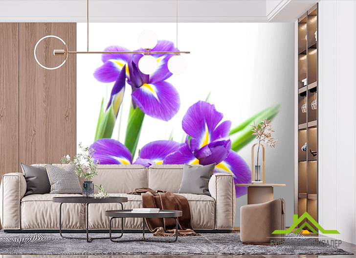 Фотообои Анютины глазки фиолетовые